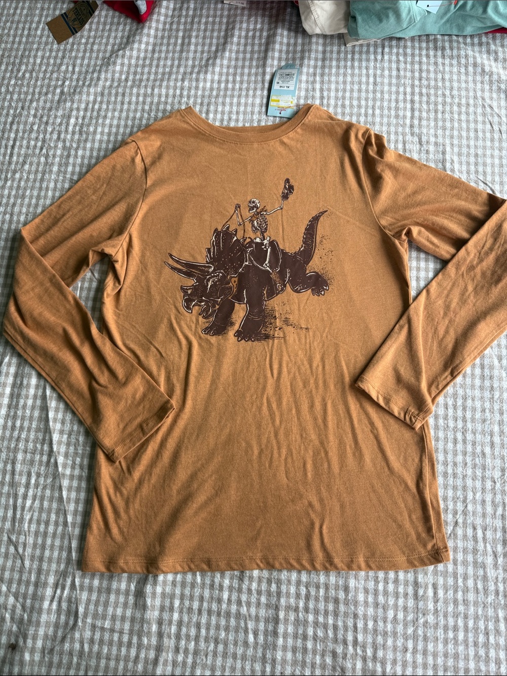 Cat & Jack Boys Long Sleeve Tee in Rust with Brown Dino Print